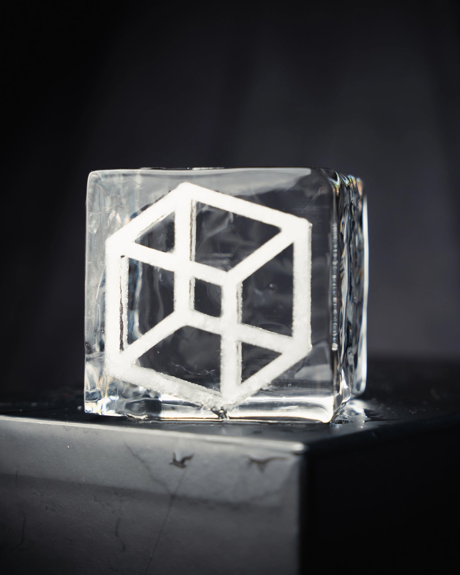 ICE ROSEBUD — Custom Cocktail Ice Cubes | Ice Modern