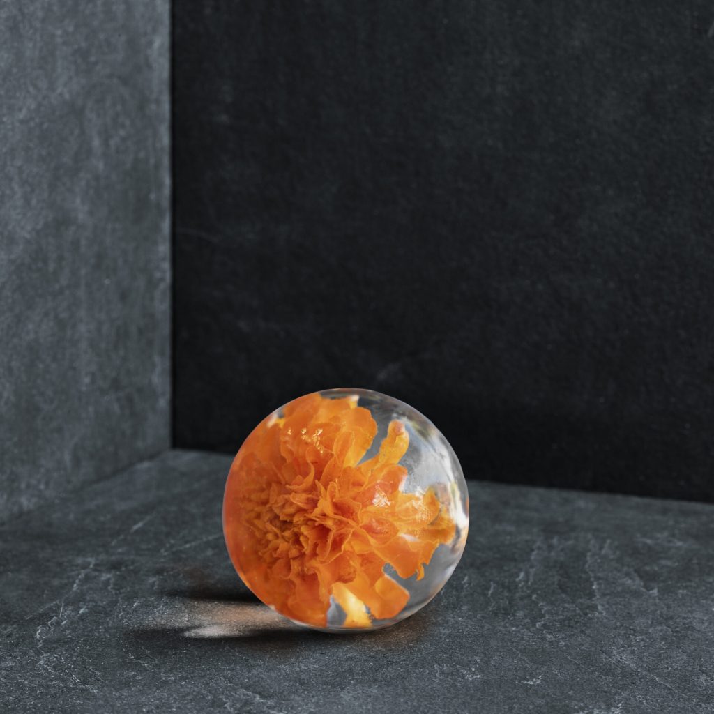 FlowerSTONE_orange_hires