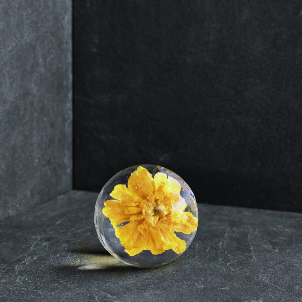 FlowerSTONE_yellow_hires