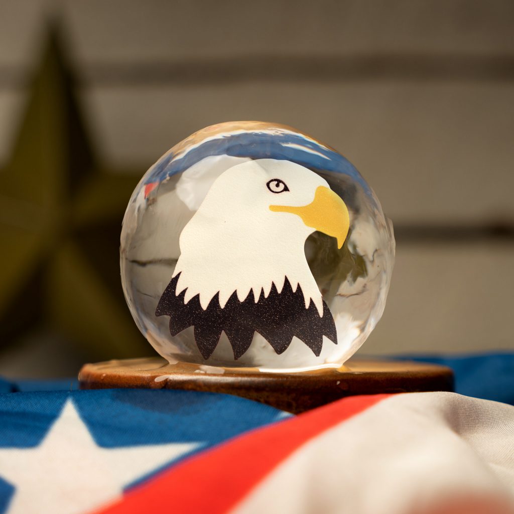 MemDay-Eagle2